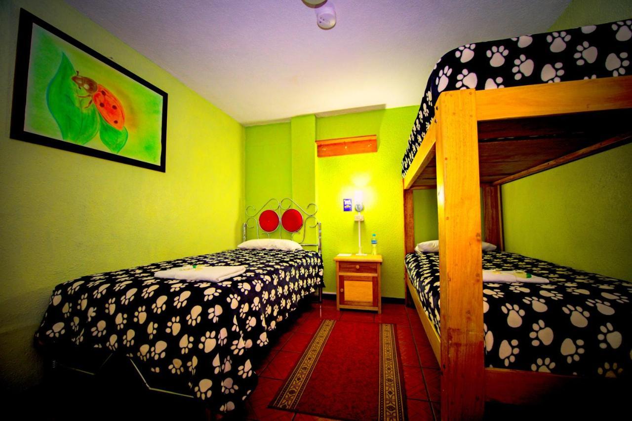 Mirador Oro Verde Quilotoa Zumbagua Buitenkant foto